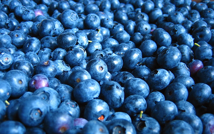 pile of blueberries, food, blueberries, fruits berries, HD wallpaper
