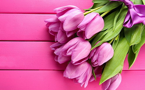 Flores Primavera tulipas cor de rosa, flores, primavera, rosa, tulipas, HD papel de parede HD wallpaper