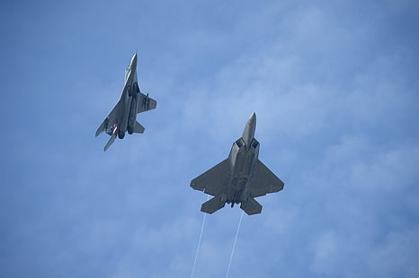 due aerei da combattimento grigi, F22-Raptor, Mig-29UB, aerei militari, militari, caccia a reazione, Mikoyan MiG-29, Lockheed Martin F-22 Raptor, Sfondo HD HD wallpaper