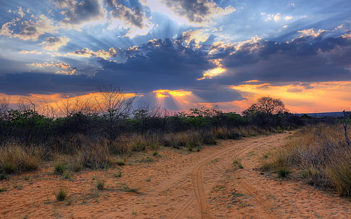 Afrique sud, namibie, coucher soleil, paysage, nuages, désert, herbe verte, sud, afrique, namibie, coucher soleil, paysage, nuages, désert, Fond d'écran HD HD wallpaper