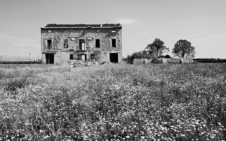 edificio de hormigón blanco y negro, oscuro, ruina, monocromo, flores, casa, edificio, Fondo de pantalla HD