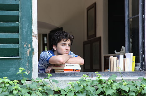 call me by your name 4k hd  with high resolution, HD wallpaper HD wallpaper