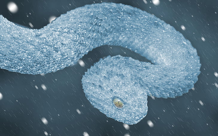 งูน้ำแข็งหิมะฤดูหนาวน้ำค้างแข็ง, วอลล์เปเปอร์ HD