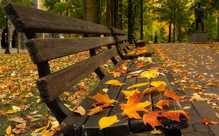茶色の木製ベンチ、昼間、ベンチ、葉、秋、舗装中に撮影した落ち葉の写真と茶色の木製ベンチ、 HDデスクトップの壁紙