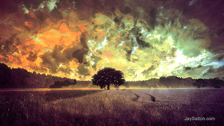 Wallpaper Tree Sky 3d Hd Image Num 79