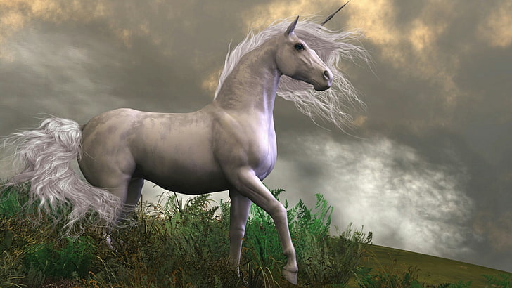 unicorno, cavallo, terra dei sogni, sognante, fantasy art, fiaba, terra fantasy, romantico, erba, criniera, cielo, pascolo, Sfondo HD