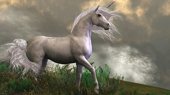 unicornio, caballo, tierra de los sueños, soñador, arte de fantasía, cuento de hadas, tierra de fantasía, romántico, hierba, melena, cielo, pasto, Fondo de pantalla HD HD wallpaper