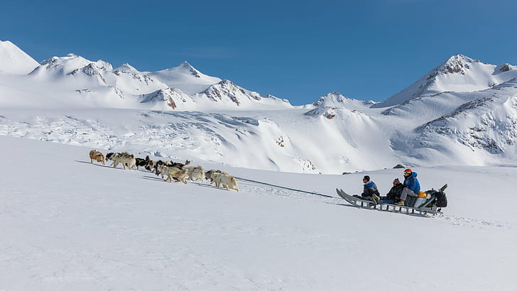 pack of wolves pulling sled with three person on mountain, Passing, Apusiaajik Glacier, pack, wolves, person, mountain, Grönland, Kulusuk, Sermersooq, Apusiaajik  glacier, Greenland, ice  cold, snow, mushing, dogsledding, dog, dogs, winter, adventure, expedition, nature, sport, outdoors, people, mountain Peak, extreme Sports, HD wallpaper