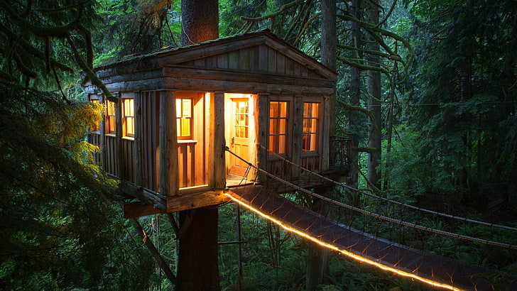 коричневый деревянный домик на дереве, включите свет дерева дома, дом на дереве, на открытом воздухе, теплый, деревья, растения, мост, природа, зеленый, огни, дверь, окно, хижина, желтый, HD обои