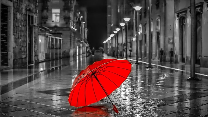 монохромен, чадър, дъждовен, улица, вали, HD тапет