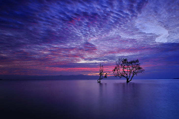 landscape, trees, nature, purple, calm, HD wallpaper