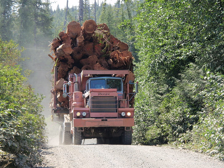 Logging Truck, timber, forest, truck, road, cars, HD wallpaper
