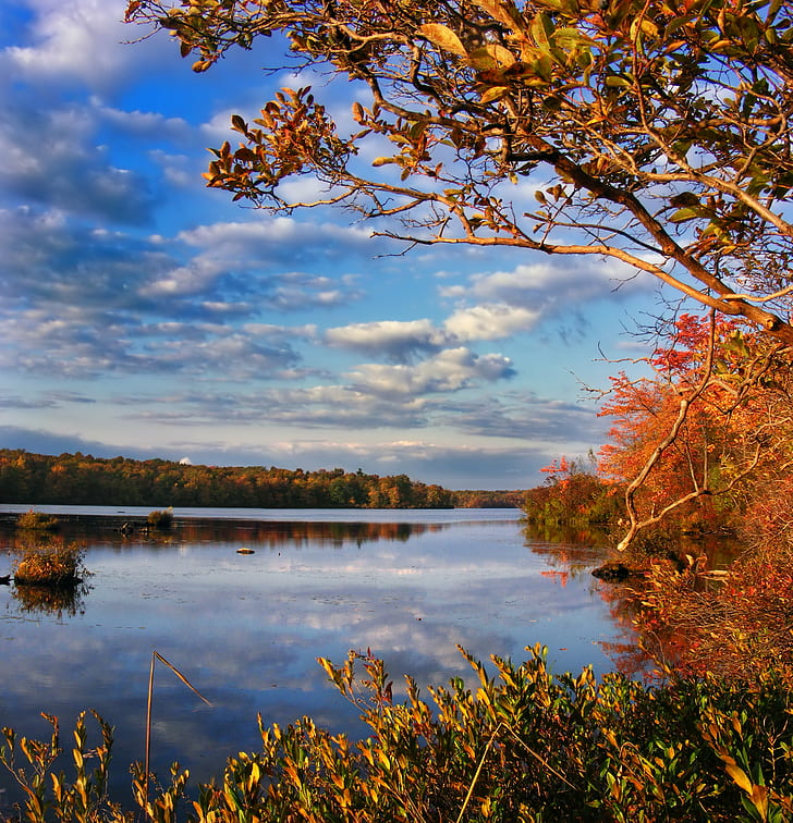 orange leaf trees near lake, lakeshore, lakeshore, Lakeshore, orange, leaf, trees, Pennsylvania, Monroe County, Tobyhanna State Park, Lake, Poconos, deciduous, foliage, sky, clouds, cumulus, autumn, low light, creative commons, nature, tree, forest, landscape, outdoors, scenics, reflection, water, yellow, beauty In Nature, season, HD wallpaper
