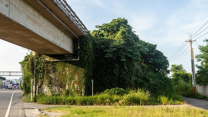 ponte, Taiwan, HD papel de parede