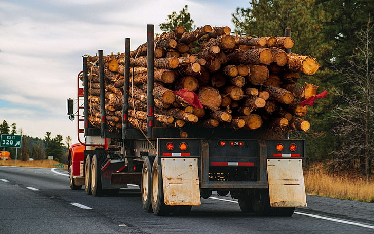 axed wood, chopped wood, firewood, hardwood, log driving, logging, moving logs, stacked wood, transporting wood, truckers, trucking, wood, wood logs, wood transport, wood truckers, woodpile, HD wallpaper