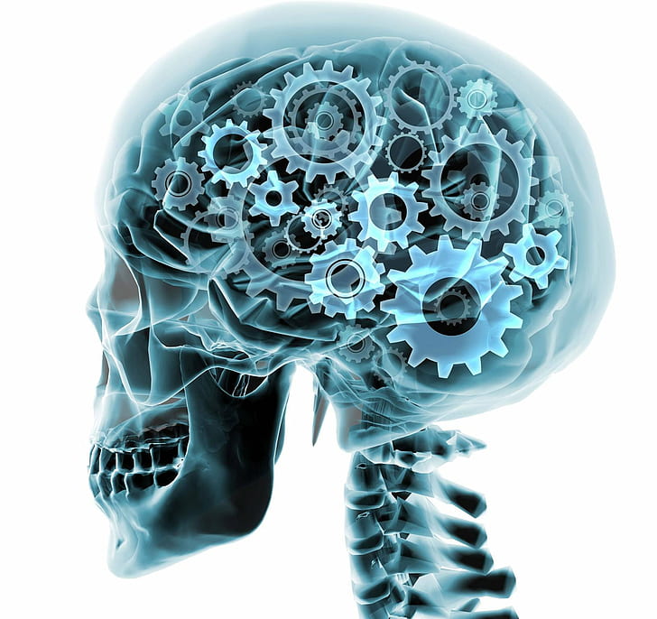3-d, anatomy, brain, digital, gear, gears, head, medical, psychedelic, skull, x-ray, xray, HD wallpaper