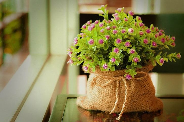 borsa, finestra, davanzale, fiori, fiori viola, corde, Sfondo HD