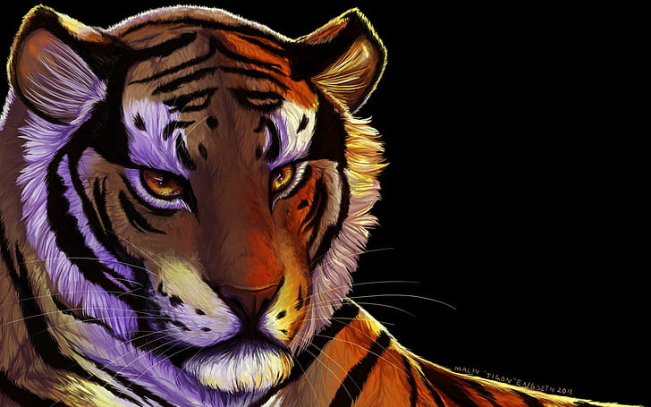 tiger hd  computer desktop, HD wallpaper