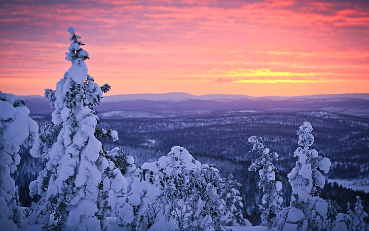 Finlândia, Lapônia, neve do inverno, floresta, pôr do sol, céu, Finlândia, Lapônia, inverno, neve, floresta, pôr do sol, céu, HD papel de parede