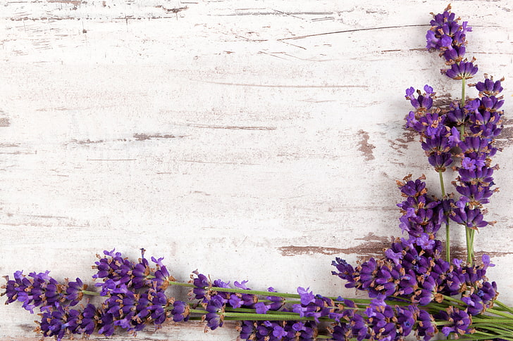 branches, wood, flowers, lavender, HD wallpaper