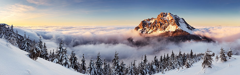 montagna coperta di neve bianca, paesaggio, montagne, nebbia, alberi di pino, inverno, Slovacchia, display multiplo, doppio monitor, Sfondo HD HD wallpaper