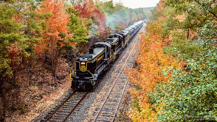 Western Maryland Scenic Railroad in Autumn, Transportation, HD wallpaper