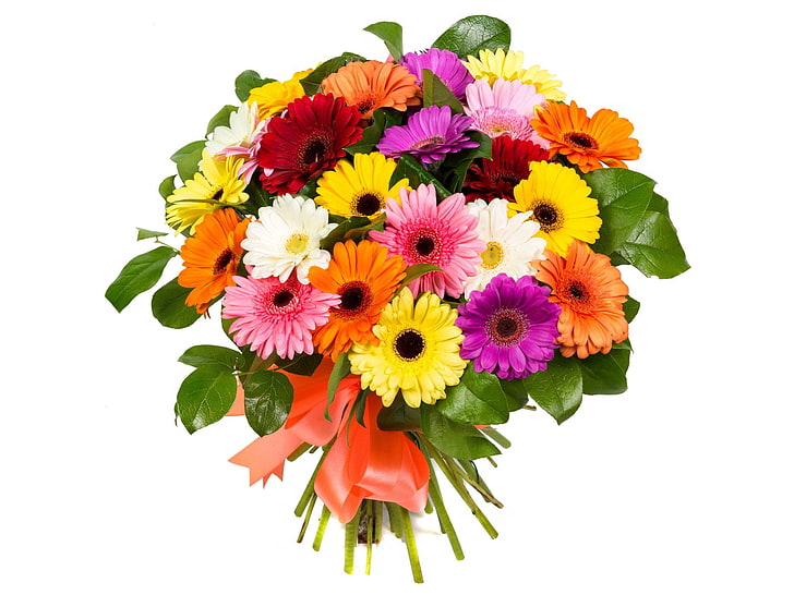 Man Made, Flower, Bouquet, Colorful, Colors, Gerbera, Orange Flower, Purple Flower, Red Flower, Ribbon, Stem, White Flower, HD wallpaper