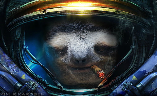 illustrazione di astronauta bradipo, Starcraft II, bradipi, sigari, umorismo, StarCraft, videogiochi, Sfondo HD HD wallpaper