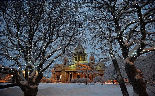 Wallpaper Pohon Musim Dingin Gereja Salju St Petersburg, peterhof, rusia, Wallpaper HD HD wallpaper
