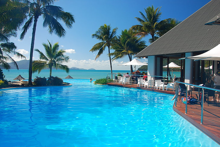 swimming pool, tropics, sea, palm trees, swimming pool, HD wallpaper