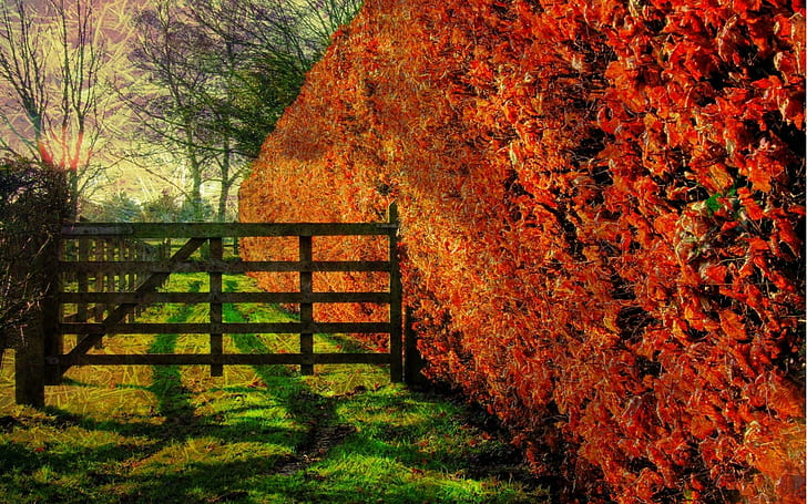 Close To The Edge, trees, fence, edge, autumn, 3d and abstract, HD wallpaper  | Wallpaperbetter