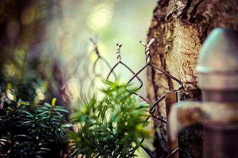 recinzione a maglie grigie in acciaio grigio, fotografia selettrica della pianta a foglia verde, profondità di campo, recinzione, bokeh, legno, macro, mare, Sfondo HD HD wallpaper