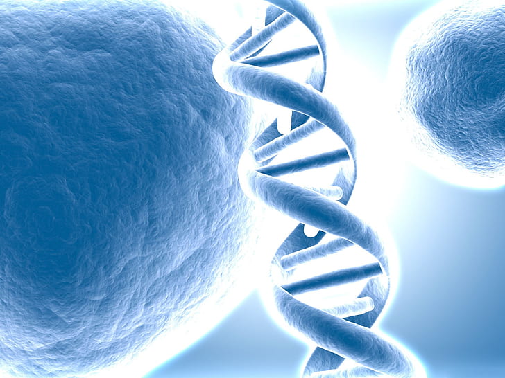 3D DNA picture, 3D, DNA, Picture, HD wallpaper