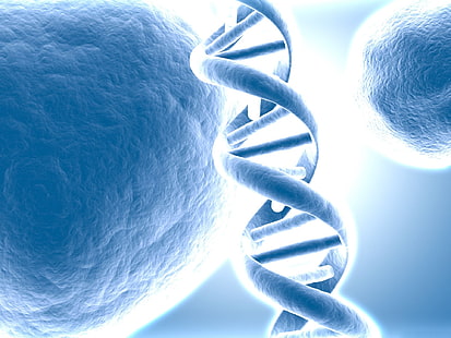 صورة ثلاثية الأبعاد للحمض النووي ، ثلاثية الأبعاد ، الحمض النووي ، الصورة، خلفية HD HD wallpaper