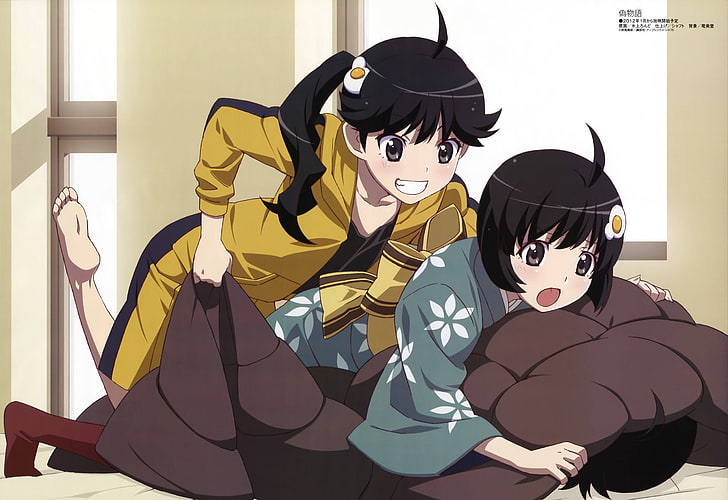 Monogatari Series, Araragi Karen, Araragi Tsukihi, anime girls, HD wallpaper