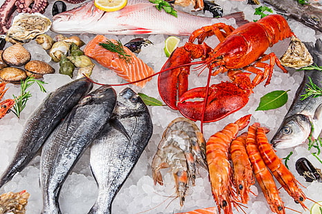 Jedzenie, owoce morza, skorupiaki, ryby, homary, krewetki, Tapety HD HD wallpaper