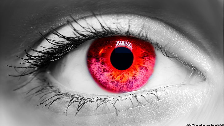 rote und schwarze Haarspange, Augen, selektive Färbung, rot, HD-Hintergrundbild