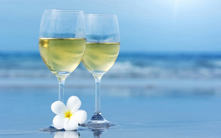 two clear wine glasses, sea, flower, blur, glasses, HD wallpaper