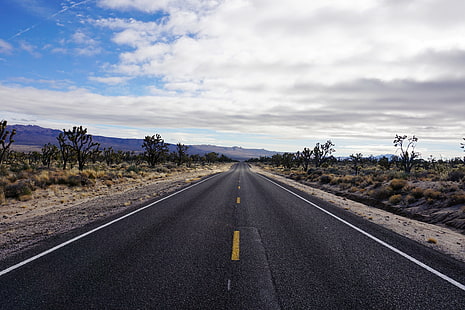 асфальтированная дорога, дорога, асфальт, пустыня, разметка, горизонт, HD обои HD wallpaper