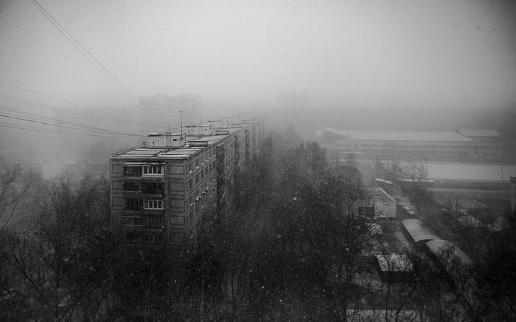 stad, svartvitt, träd, Ryssland, HD tapet