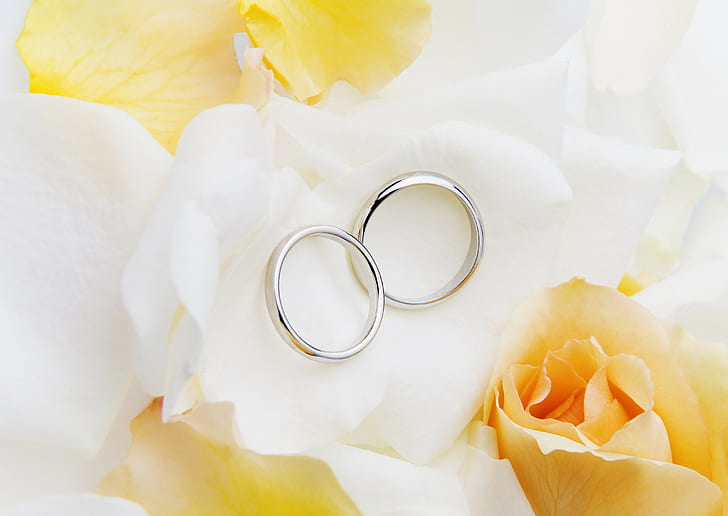 Rings, Wedding, Silver, Rose, Roses, HD wallpaper