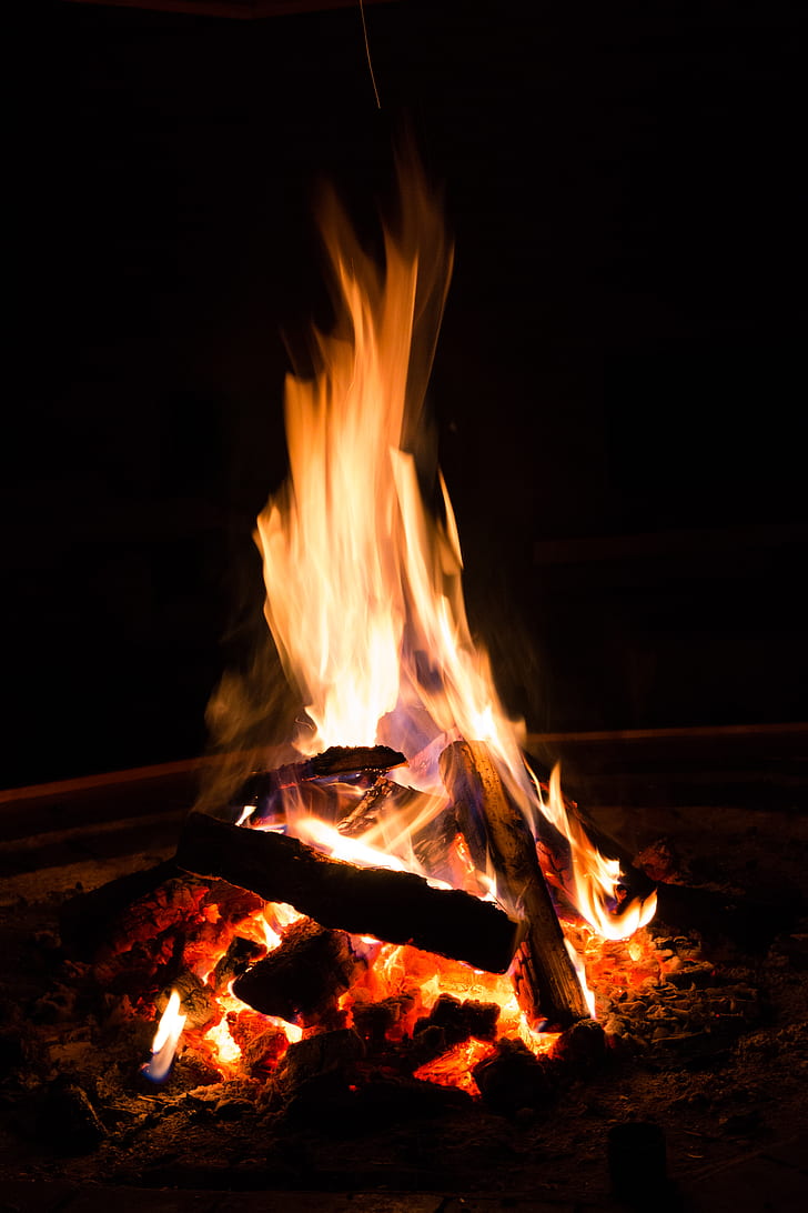 bonfire, fire, firewood, flame, coal, HD wallpaper