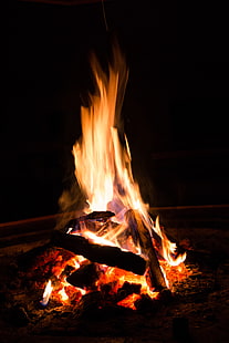 hoguera, fuego, leña, llama, carbón, Fondo de pantalla HD HD wallpaper