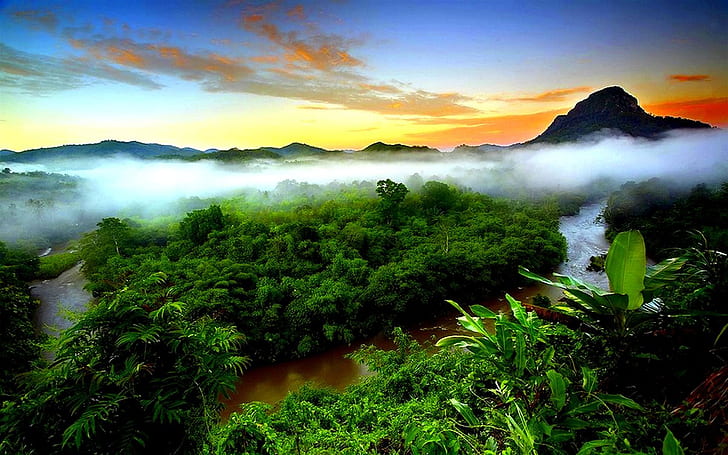 Тропическа дъждовна мъгла Изпарение Зелена гора Планина Небе Залез Индонезия Wallpaper Hd За Настолен 1920 × 1200, HD тапет