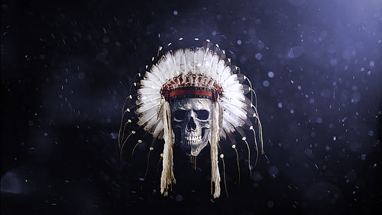 headband, feathers, Native American clothing, skull, HD wallpaper HD wallpaper