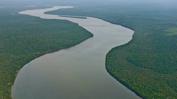 амазонка, лес, пейзаж, природа, река, тропический лес, HD обои