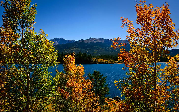 Widok na błękitne jezioro, góra pokryta zieloną trawą, widok, piękny, jezioro, n-lód, natura, jesień, liście, piękny, brzeg, drzewa, woda, gałęzie, czysty, niebieski, jesień, Tapety HD