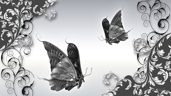luxury of sliver butterflies butterfly Firefox Persona GRAY shine silver sophisticated sophisticatio HD, animals, butterfly, gray, butterflies, silver, firefox persona, shine, swirls, sophisticated, twirls, sophistication, HD wallpaper