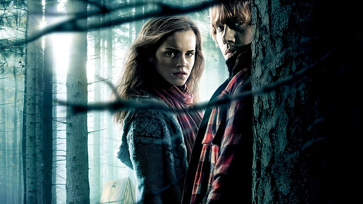 [Resim: harry-potter-and-the-deathly-hallows-par...review.jpg]