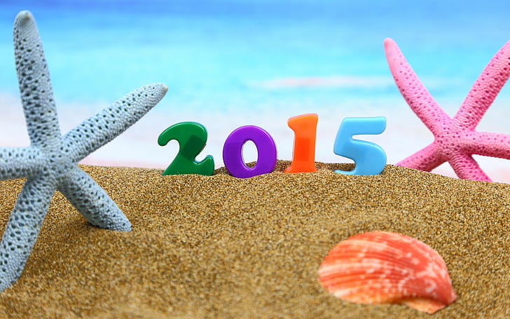 Noël, Nouvel An, étoiles de mer, coquillages, sable, 2015, Fond d'écran HD